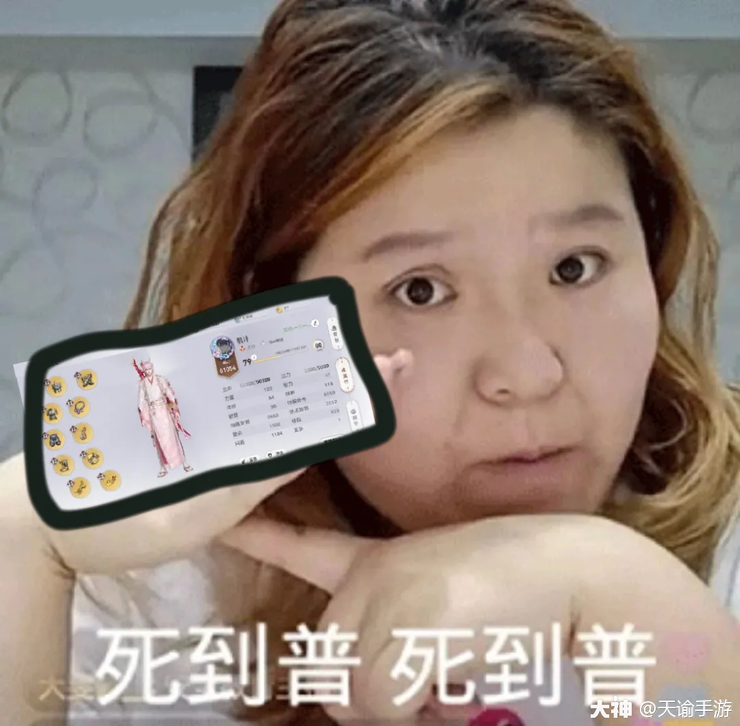 有一说一 还挺适合做表情包使用!●萌宠系列●"照片是我,不满意?