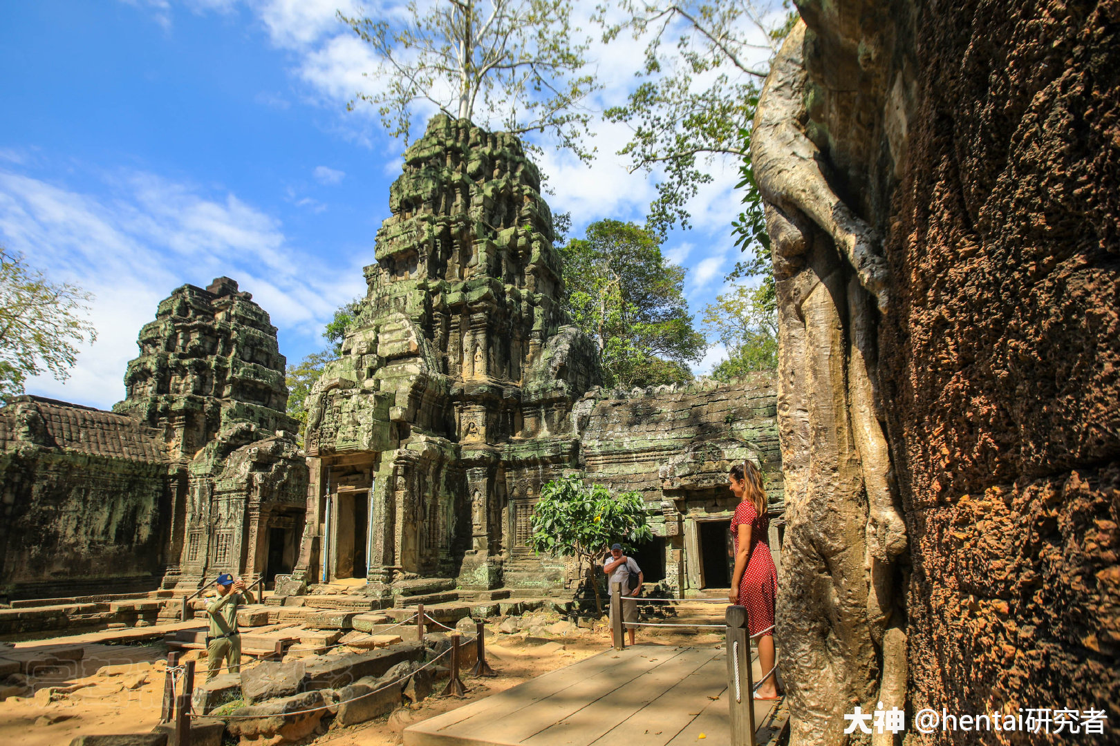 游戏王的设计美学圣天树篇下