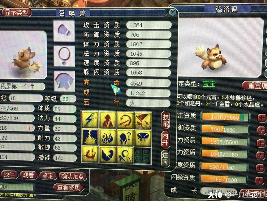 三特殊虬龙有玩家打成了一只有着须弥真言,出其不意和风起龙游三个