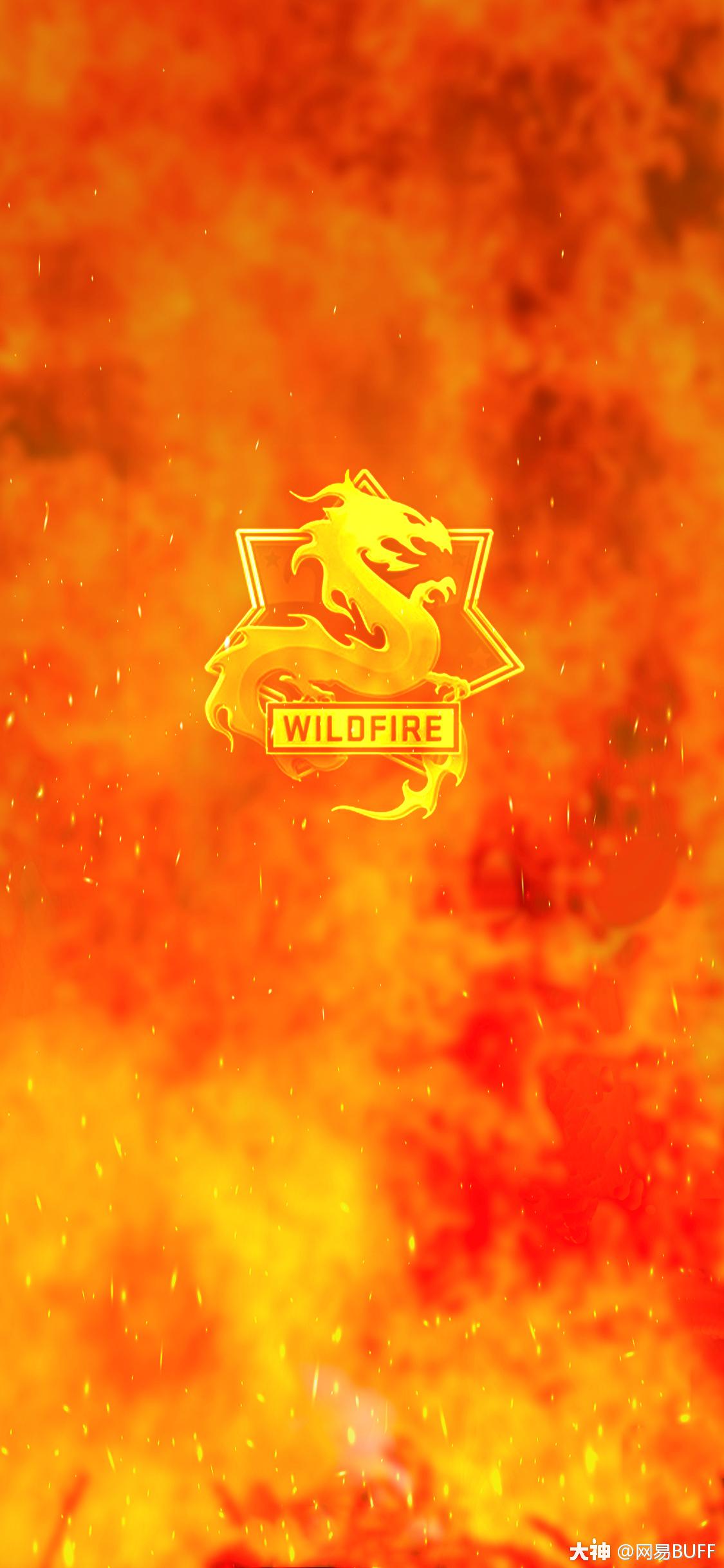 csgo皮肤鉴赏awp野火