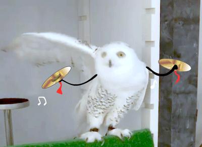 被采访者:雪鸮采访人:ravenclaw宿舍管理员地点:拉文克劳休息室时间