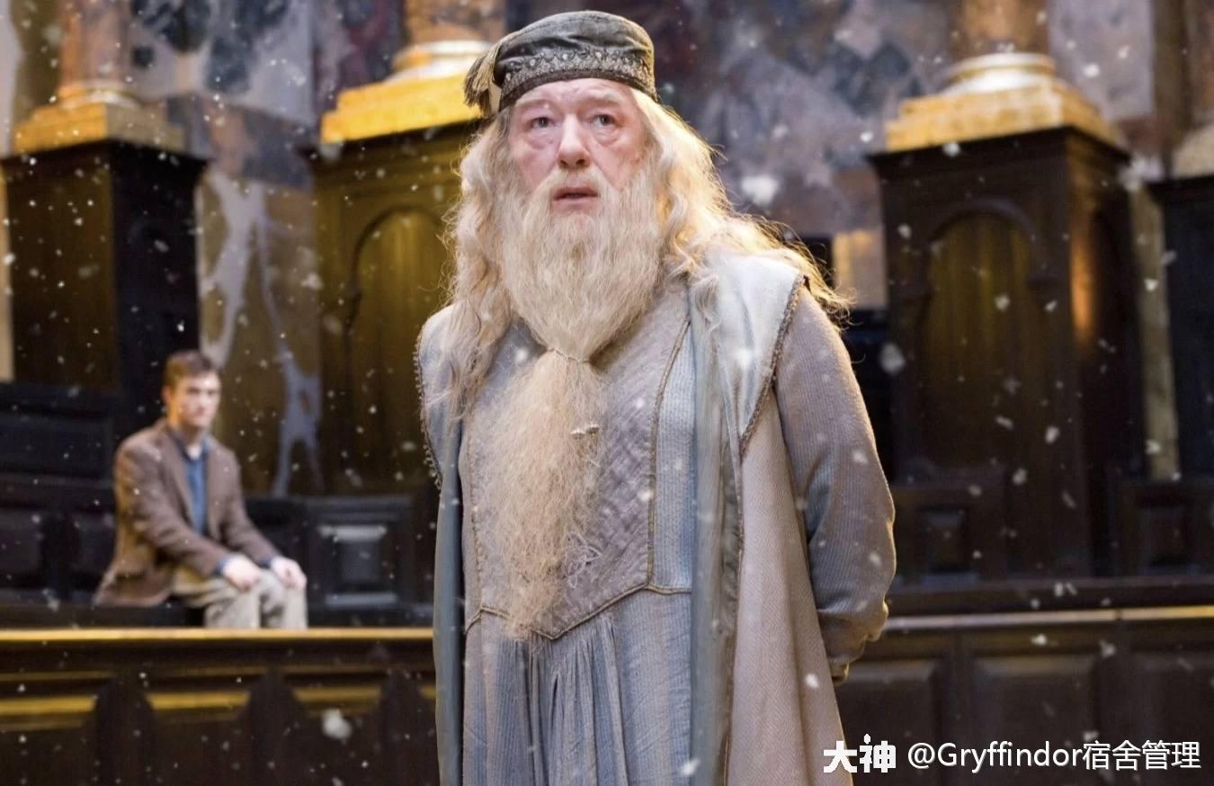 麦格教授"不为人知"的一面_哈利波特魔法觉醒 | 大神