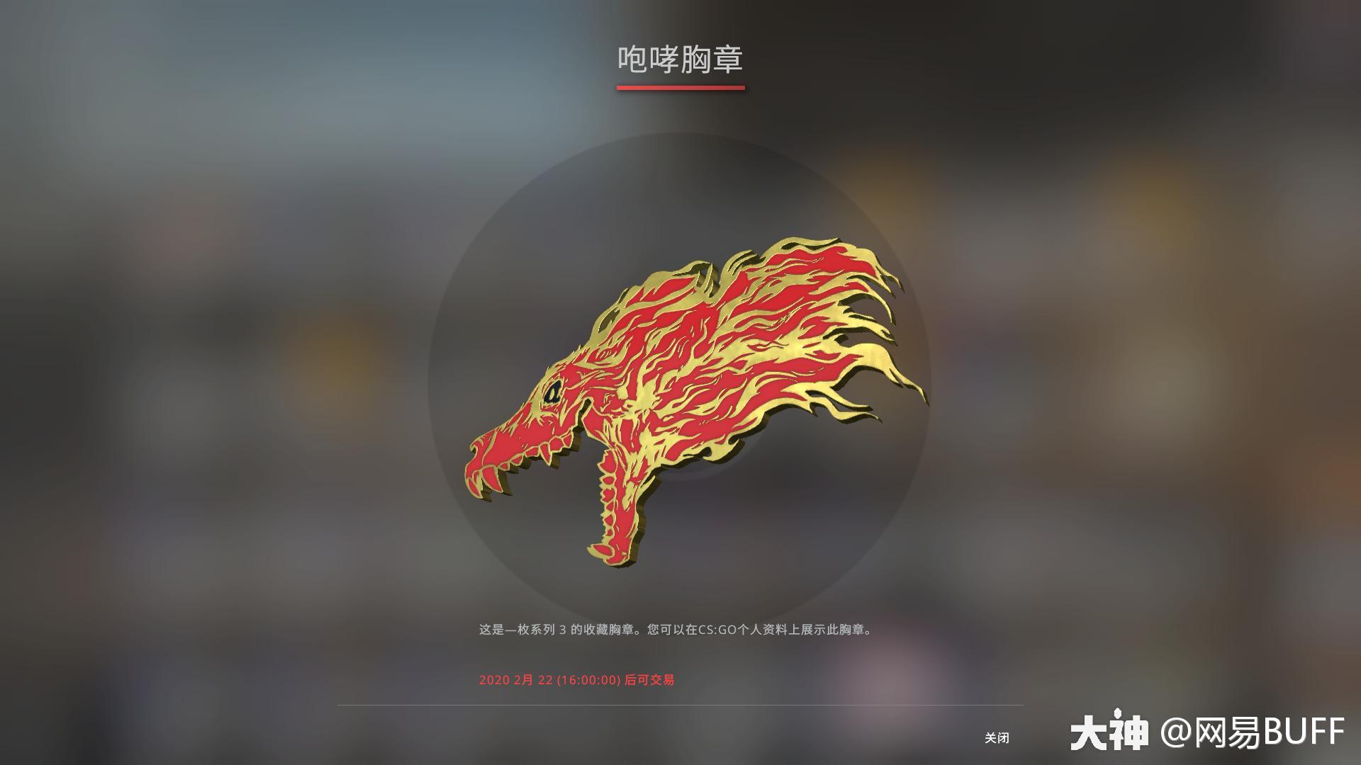 csgo胸章介绍纯正篇