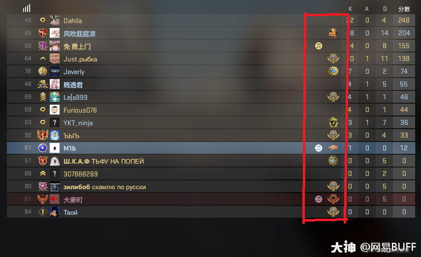 csgo胸章介绍纯正篇