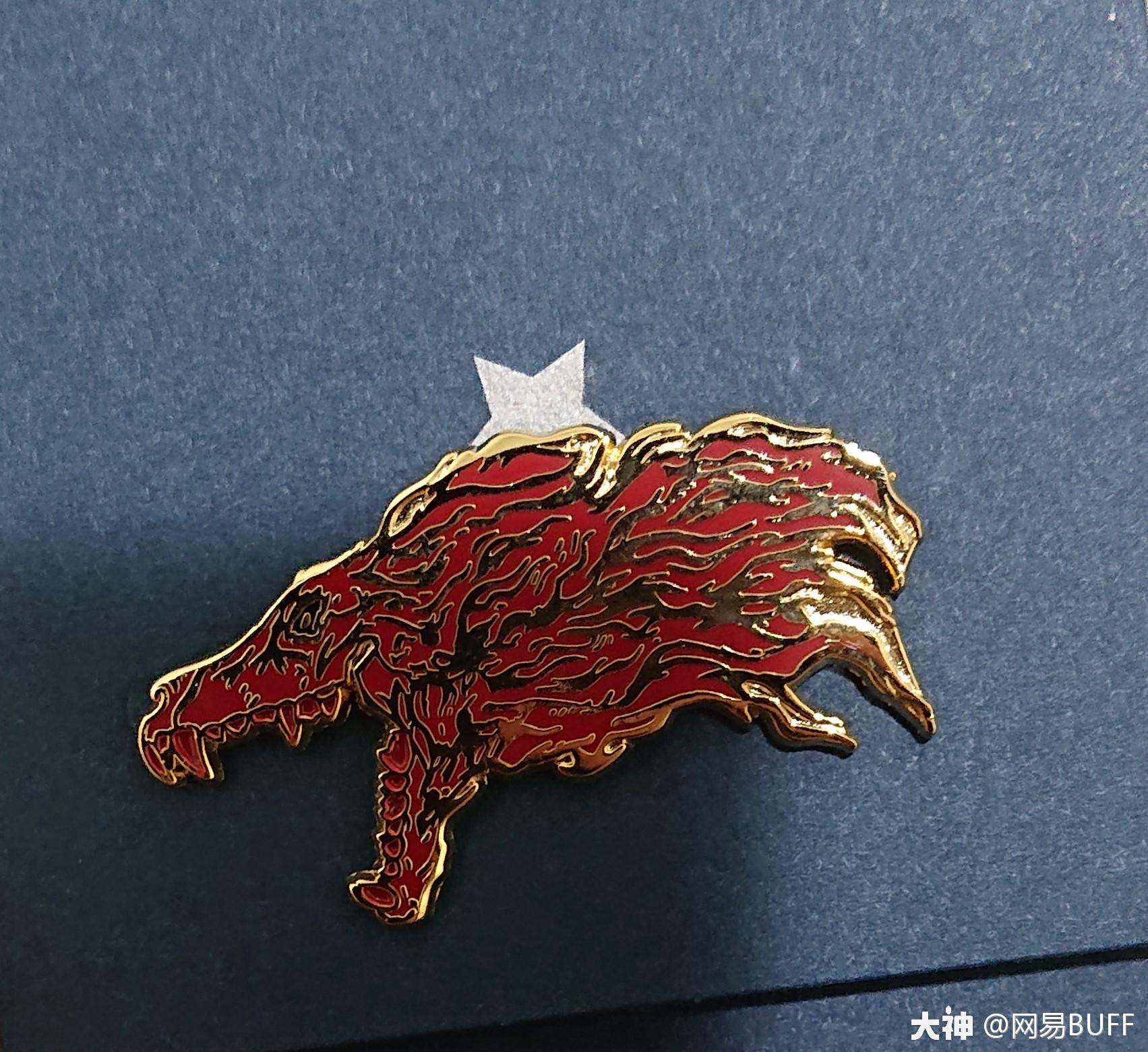 csgo胸章介绍纯正篇