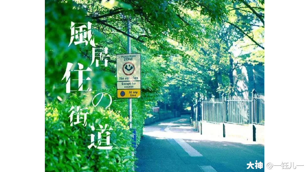 钰儿码谱分享】《风居住的街道》钢琴 二胡 天谕手游 大神