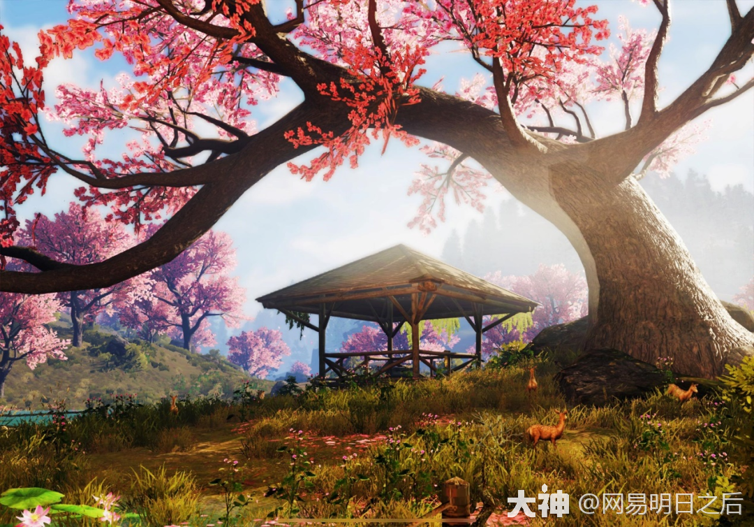 征集展示 | 大神摄影师镜头下的宝石山湾,美丽令人心醉_明日之后