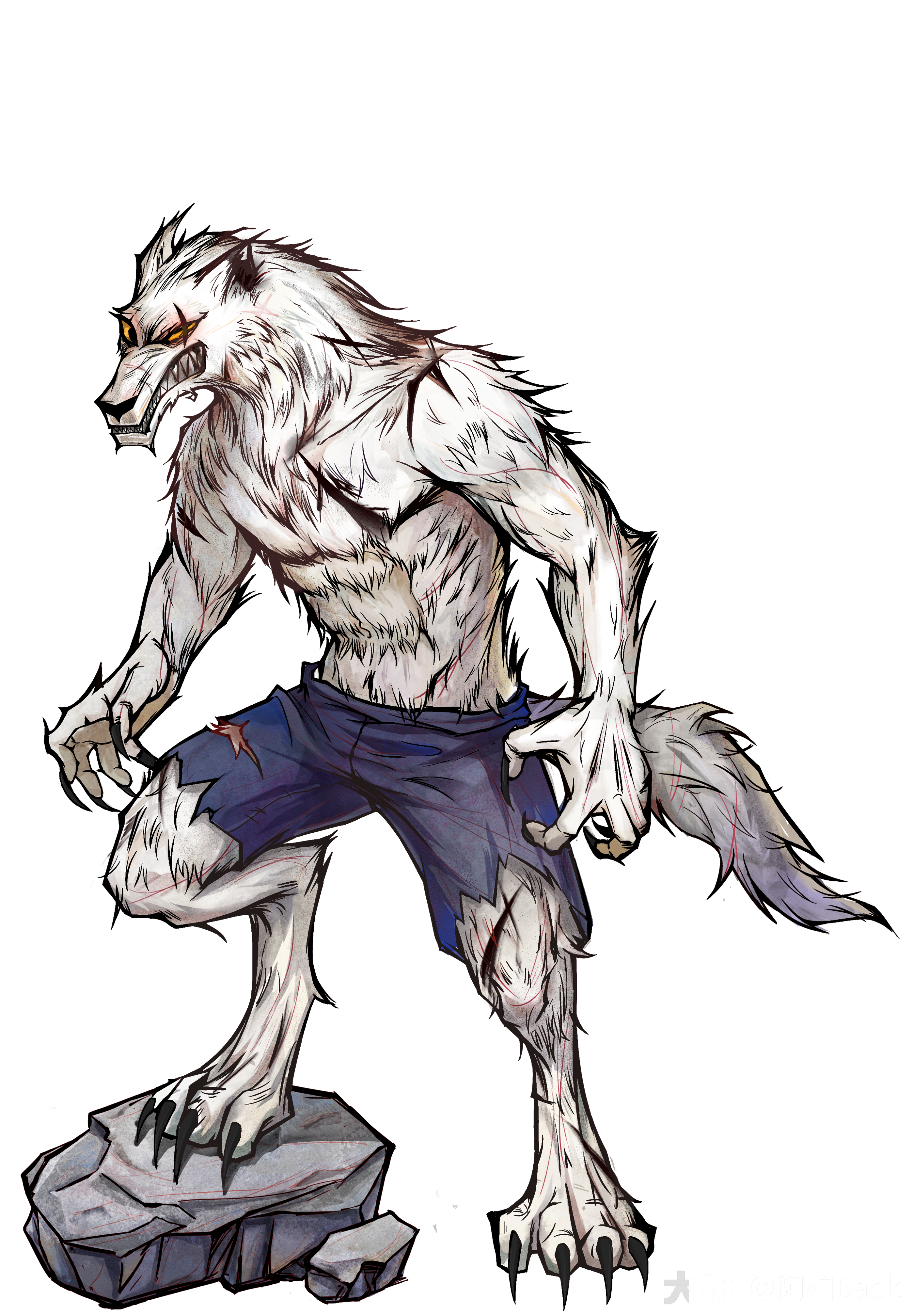 角色专栏】狼人杀"白狼王"故事详情_狼人杀 | 大神