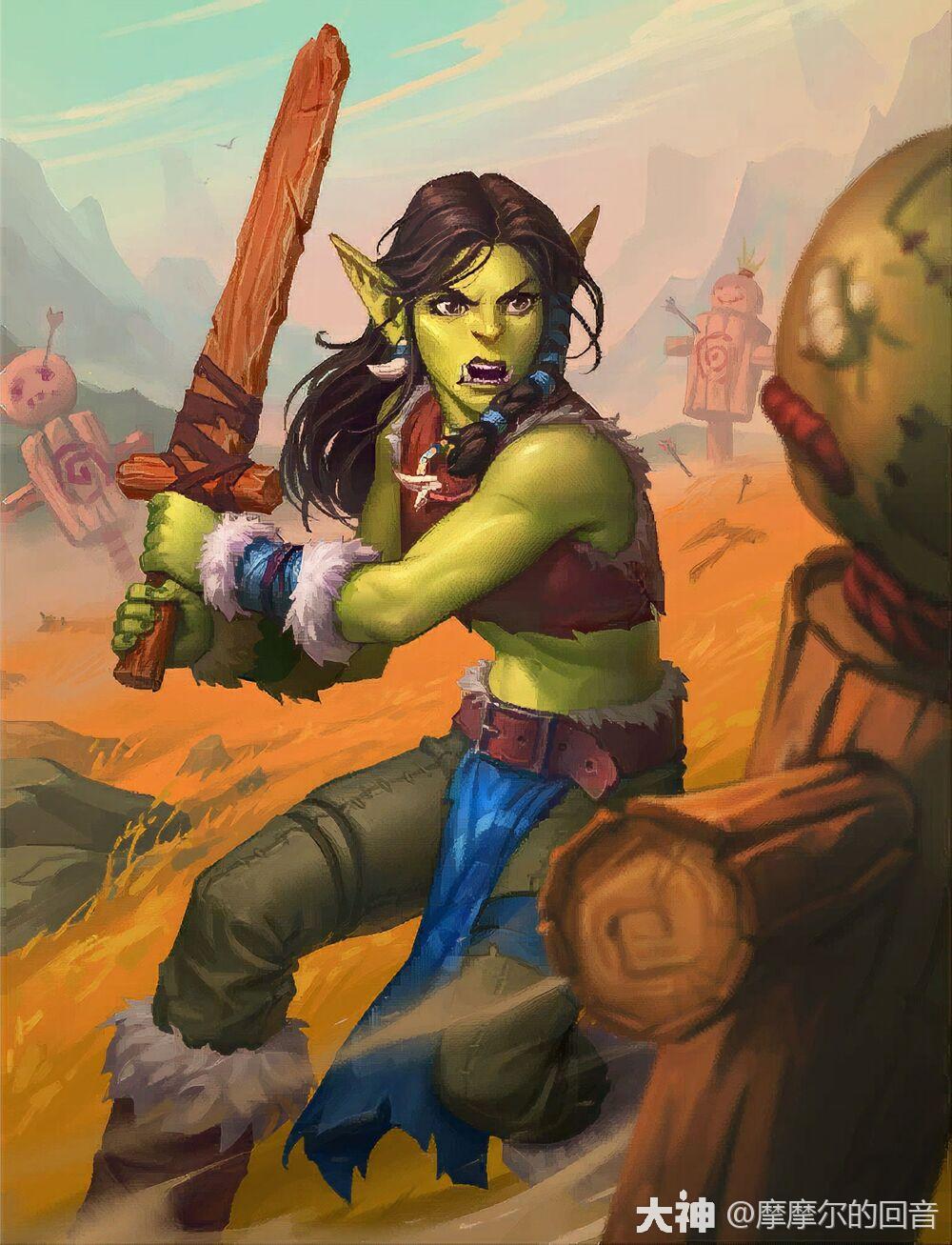 从霜狼战士到玛卓克萨斯的守护者德拉卡