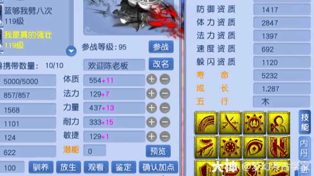 梦幻西游：召唤兽打书没有技术可言，但技能顺序有规律可循_梦幻西游 | 大神