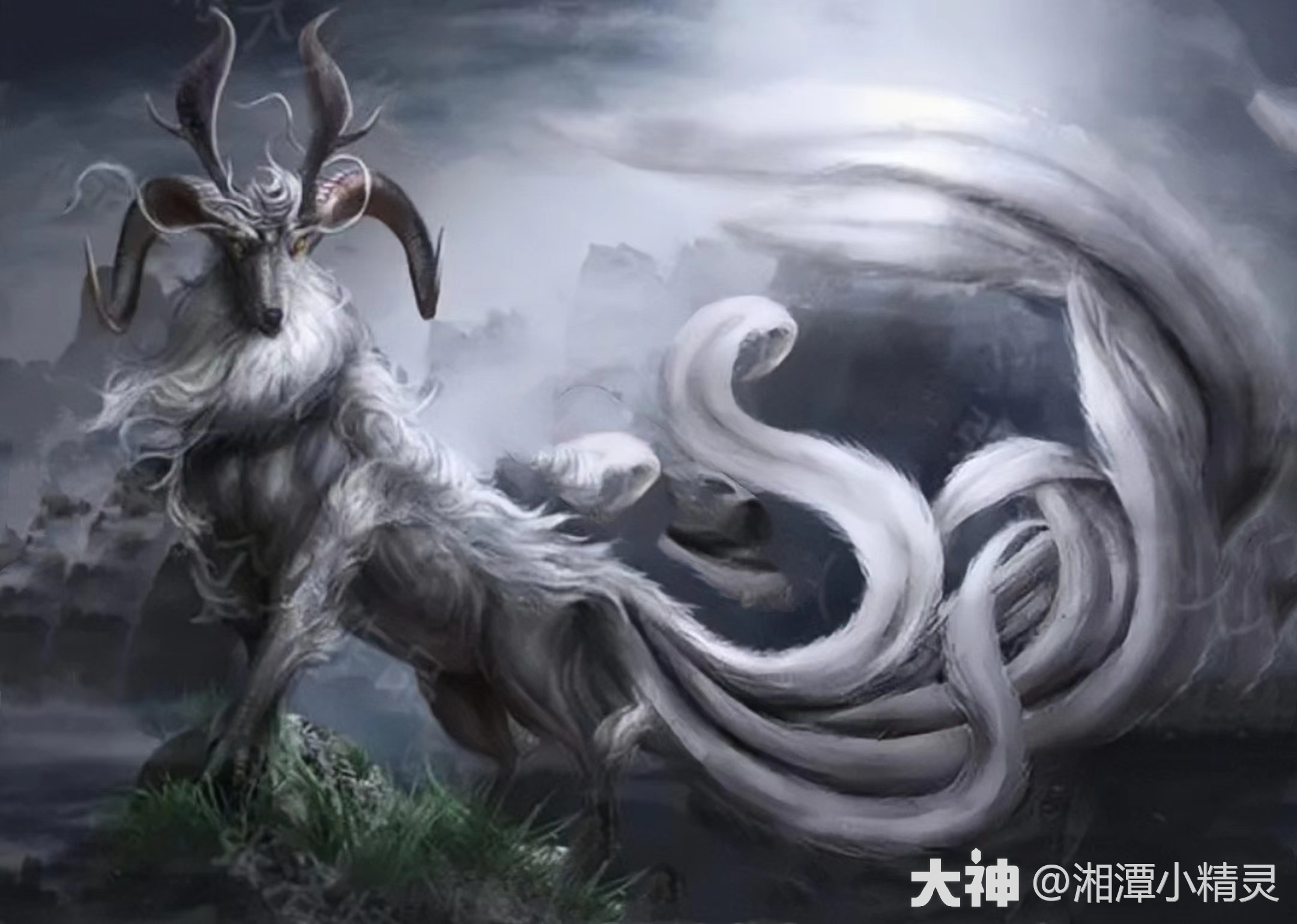 种种迹象表明,在中国古代神话中,白泽是地位崇高的神兽,它不但能言语