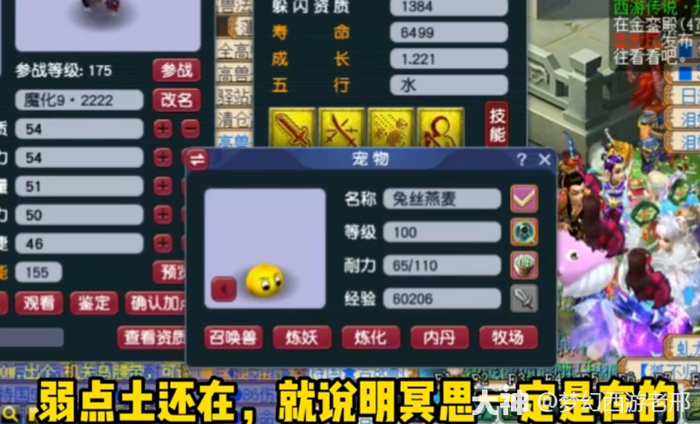 梦幻西游：打书专题（2），技能顺序与冲突跳位_梦幻西游 | 大神