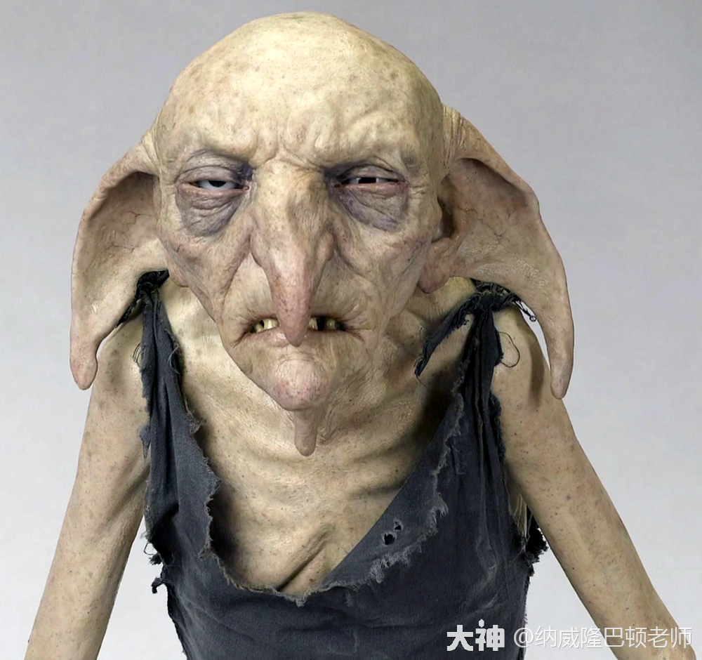 家养小精灵克利切克利切是布莱克家族的家养小精灵,对雷古勒斯特别