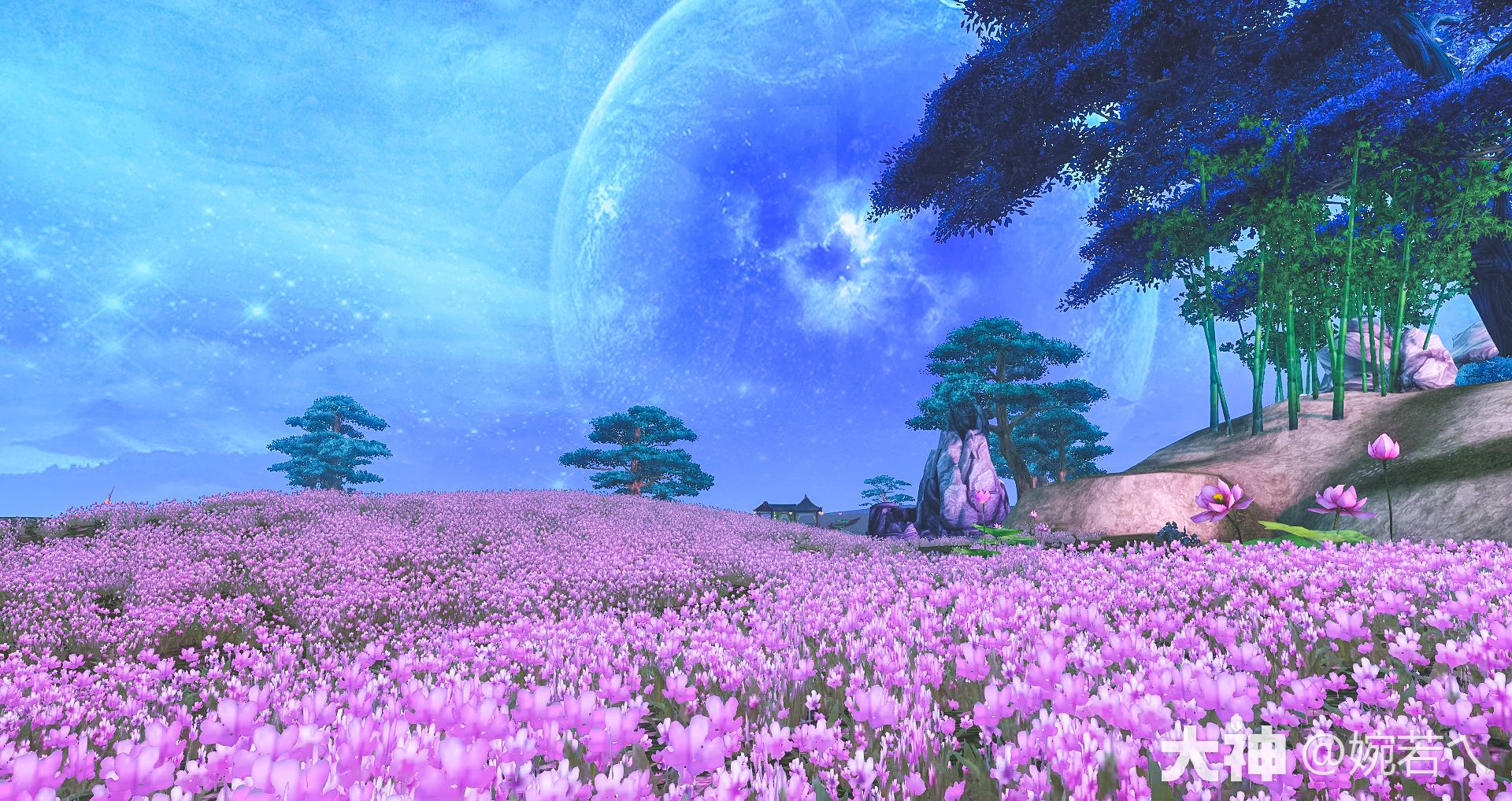 拍照圣地】之大荒花海_天下3 | 大神