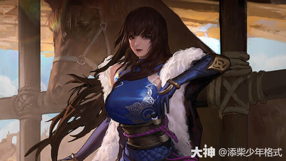 王异搭配百科全书（附战报）_率土之滨 | 大神