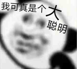 熊猫头表情包～ 我可真是个大聪明_光·遇 | 大神