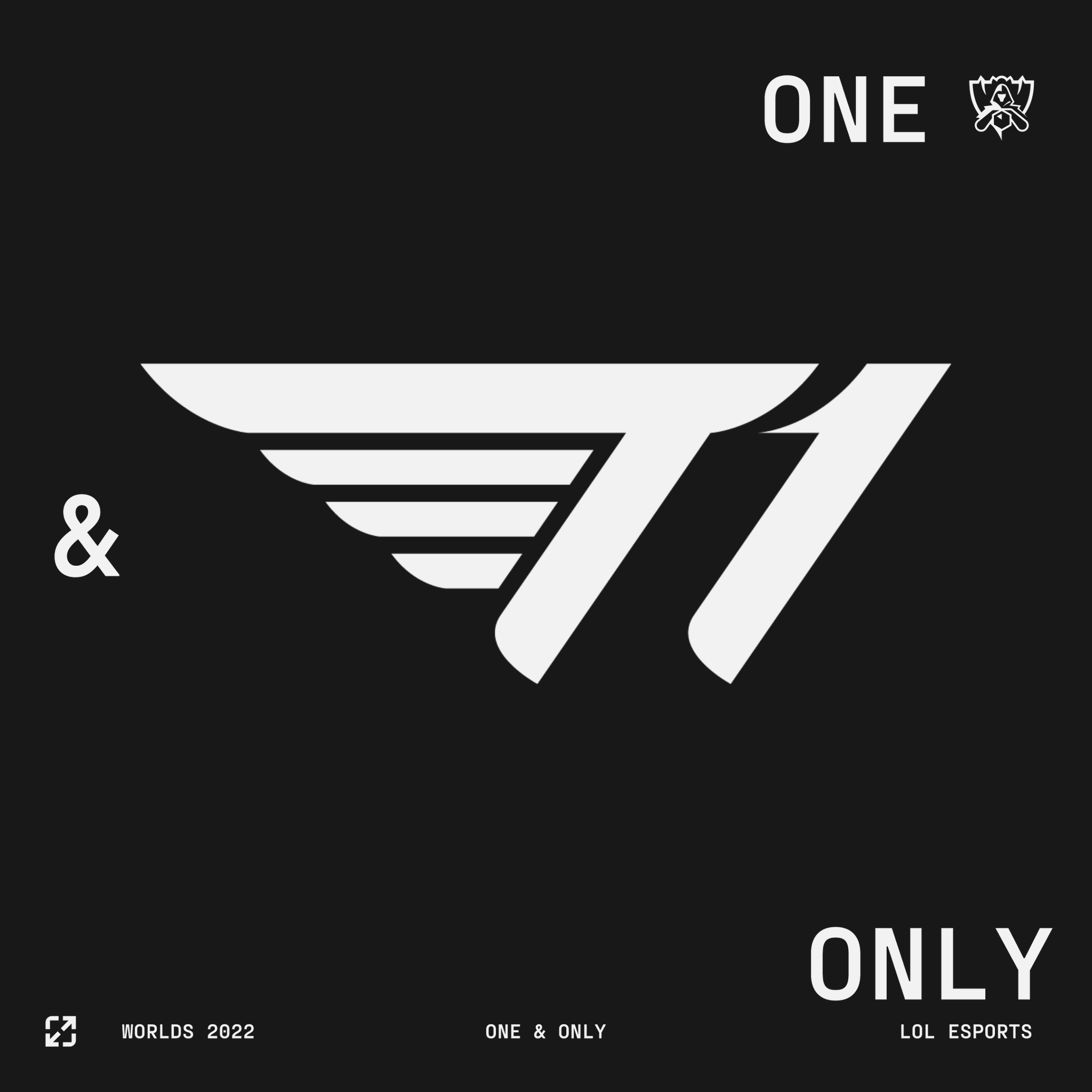 t1 flow swoosh water bottle