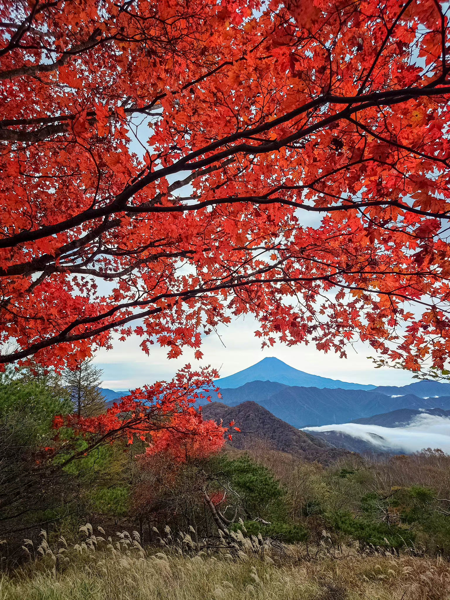 枫叶染红秋天的富士山91 via:makotohashimu_主机&单机 | 大神