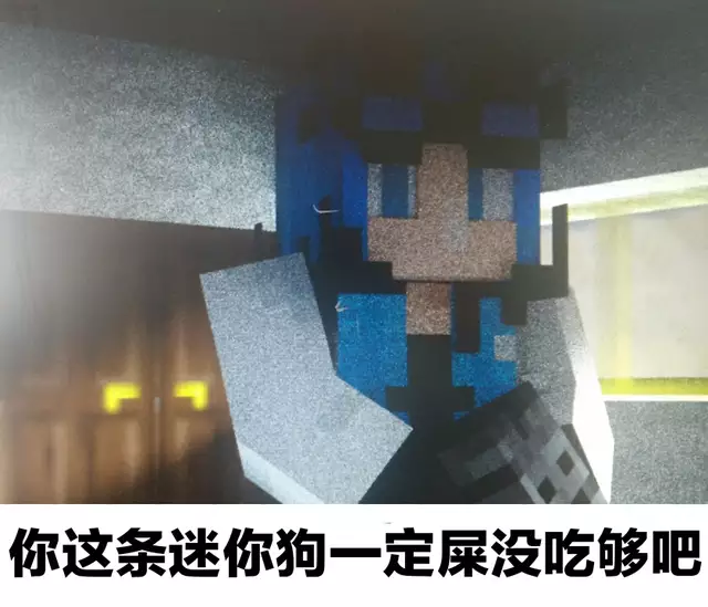 我的世界表情包_大神我的世界表情包