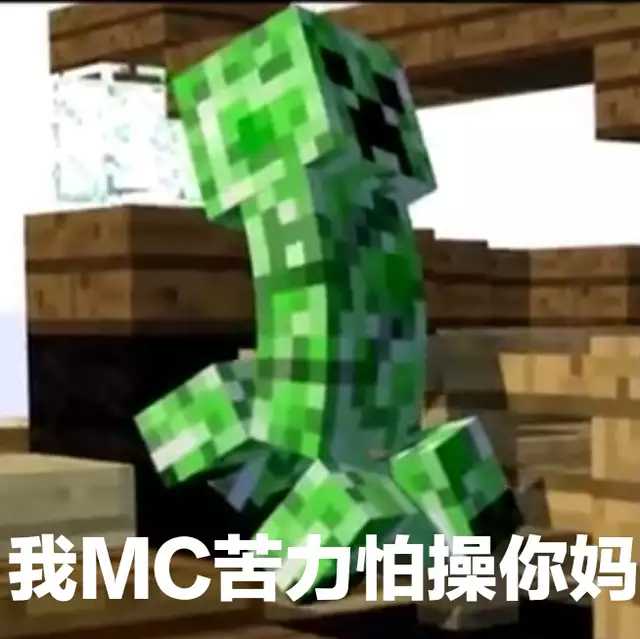 我的世界表情包_大神我的世界表情包
